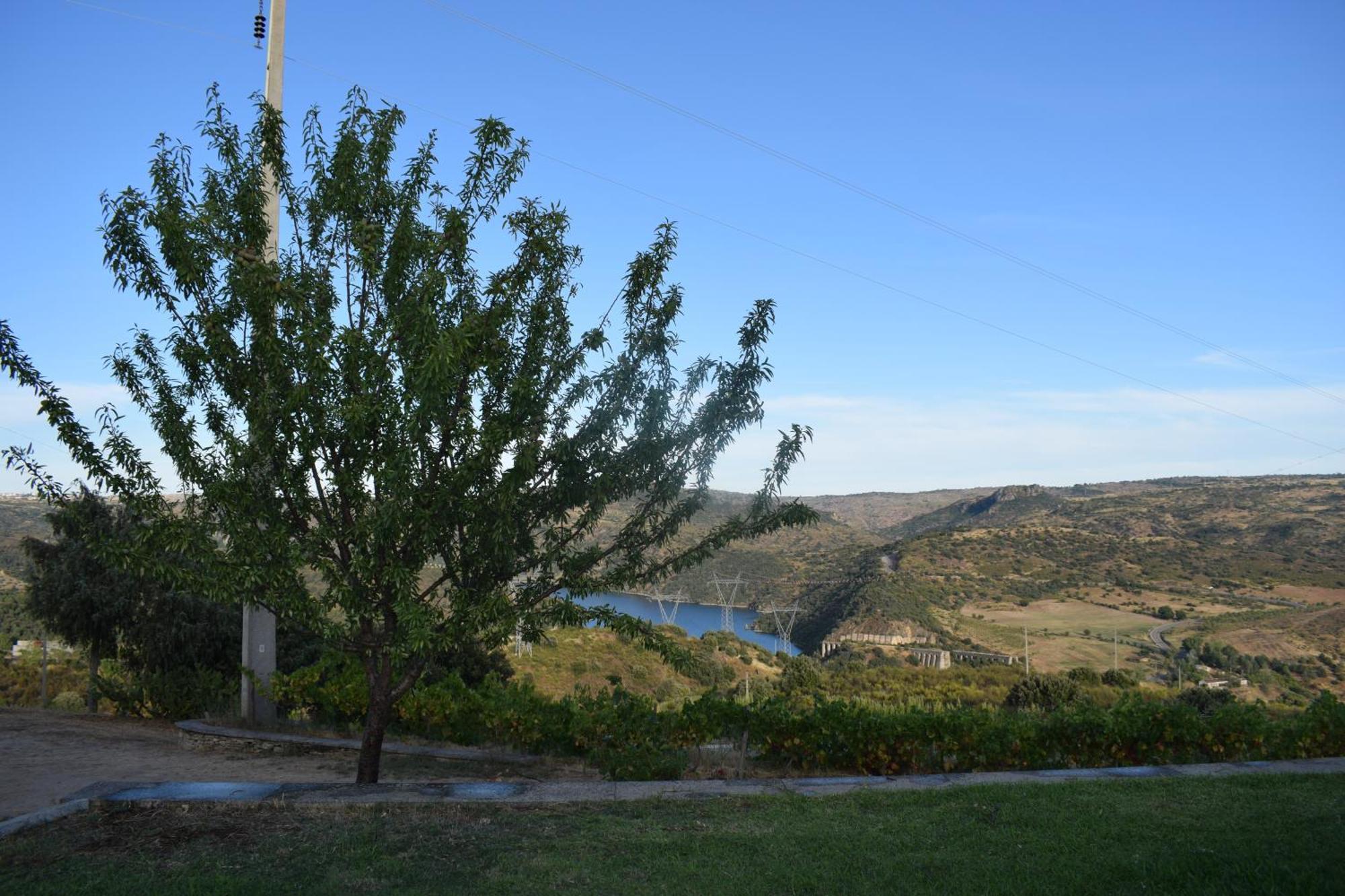 Douro Natura Bemposta  Extérieur photo